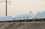 QTTX & KRL Flat cars with load in the yard